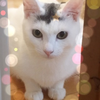 どの角度から見ても美男子☆いちご君