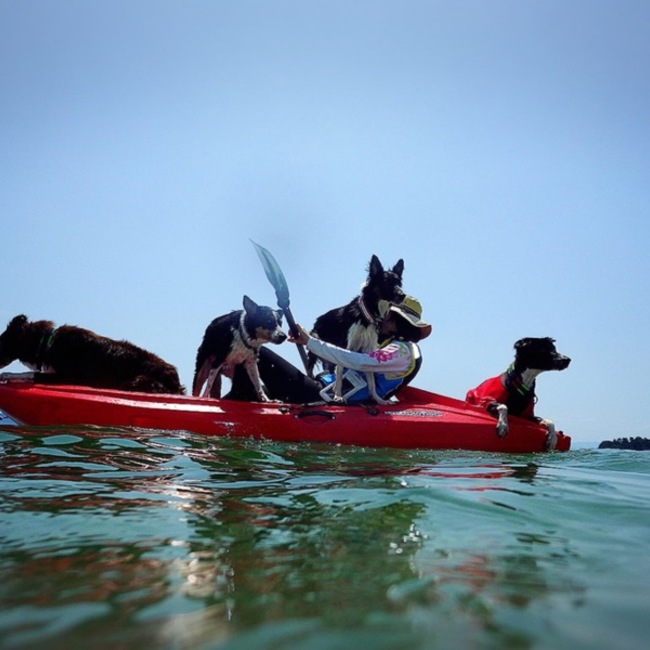 おたべちゃんですよのカバー写真