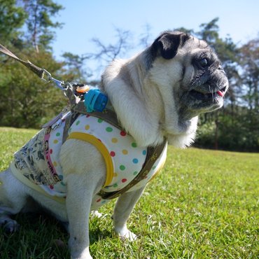 犬山・ひばりヶ丘公園