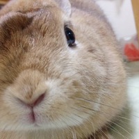いなり