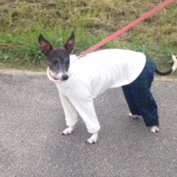 似合ってます？