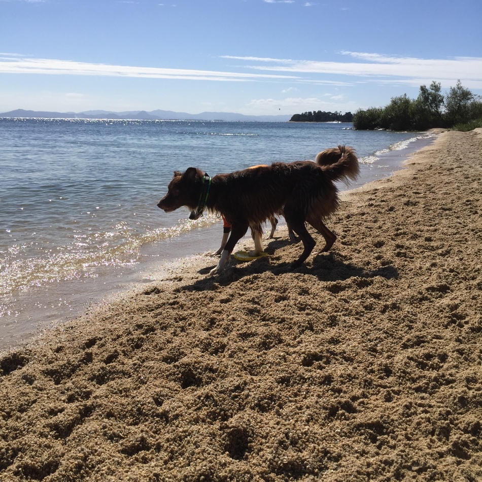 ちゃー坊のカバー写真