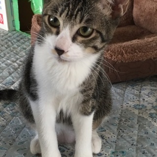ありがとうございます。くりぼう