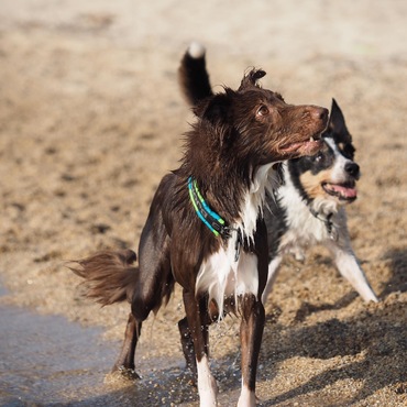 水遊び大好き❤