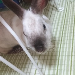 「絶妙なタイミングでエアコン購入!!」サムネイル1