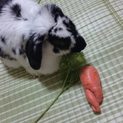 「絶妙なタイミングでエアコン購入!!」サムネイル2