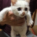 素敵なご家族様に迎えていただきました‼︎