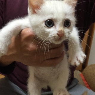 素敵なご家族様に迎えていただきました‼︎