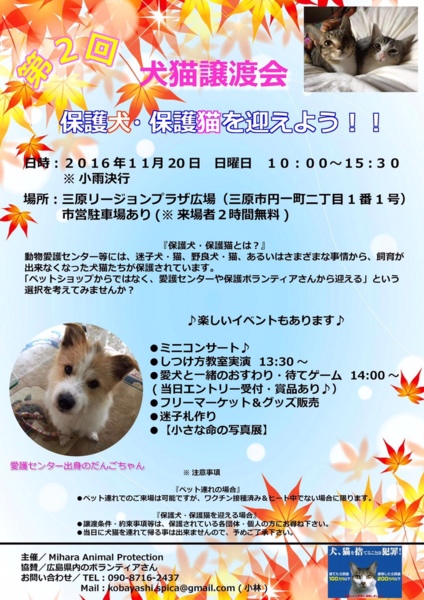 犬猫譲渡会 保護犬 保護 広島動物ネットワークのイベント 1774 ペットのおうち 月間利用者150万人