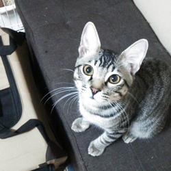 「餌皿」サムネイル2