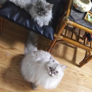 一時預りでも助かります！