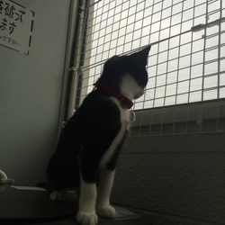 大きくなりました(*^^*)