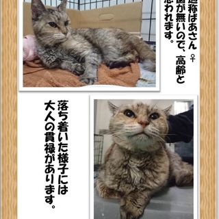 通称ばあさん^_^;  だそうです