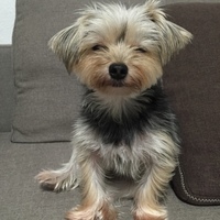 LILO