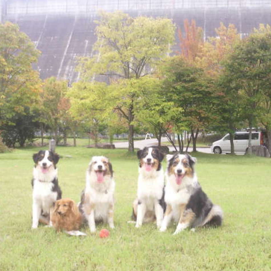 心美のカバー写真