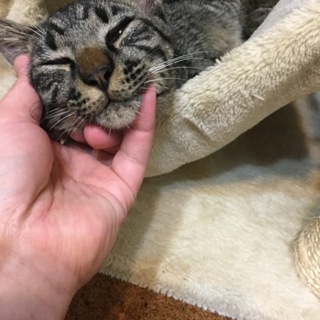 ありがとうございました