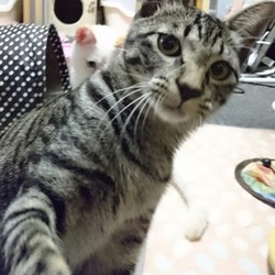 人馴れ抜群の勇馬