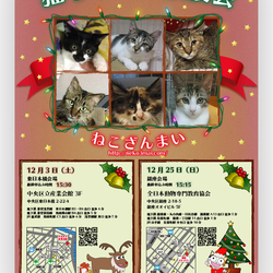 １２月２５日(日)『メリークリスマス★ねこざんまい譲渡会』12時スタート！子猫ちゃんたちも参加します