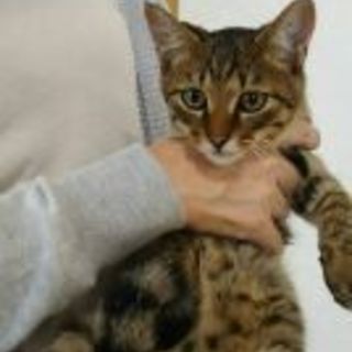 抱っこ大好き「くうちゃん」です