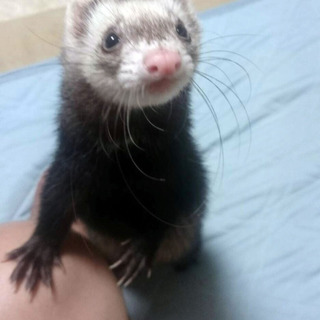 多数のご応募ありがとうございました。