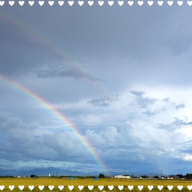 nobuko.のカバー写真