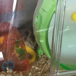 野良寝ってる 笑