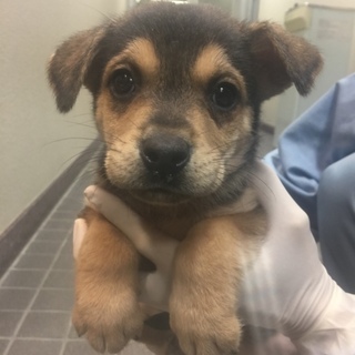 【決定】可愛くて甘えん坊な女の子♪