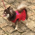 お陰様で素敵なご主人様に出逢えました。