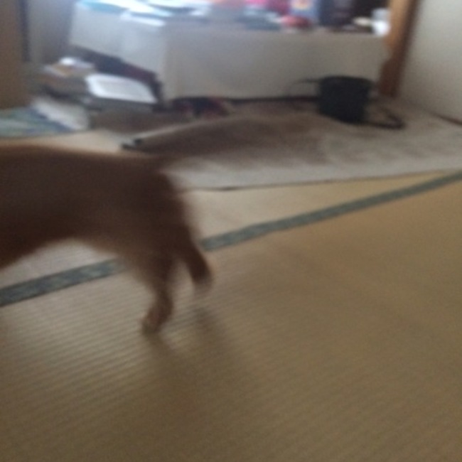 nine ナインのカバー写真
