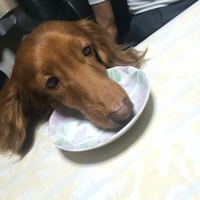 天