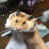 詰め込みすぎ