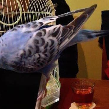 ぴーさんの写真