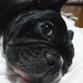 ありがとうございました。