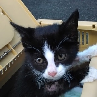 知り合いの方に嫁ぎ先が決まりました！