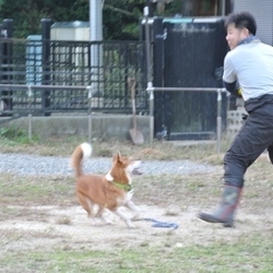 俺がちゃんとキャッチしてやるから
