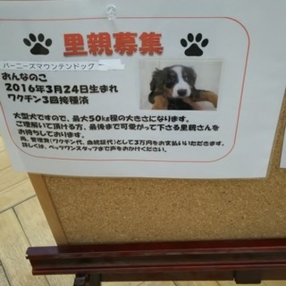 里親決定(﹡ˆ﹀ˆ﹡)♡