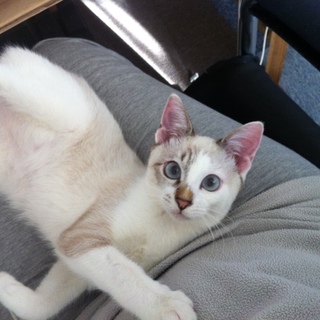 お家がみつかりました！ありがとうございました！！