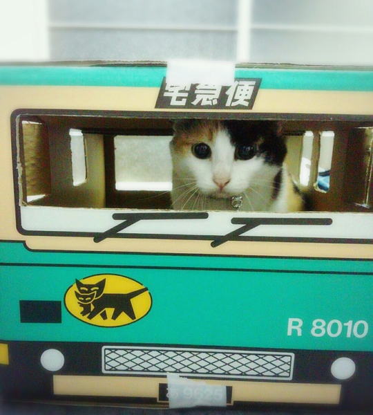 ライム