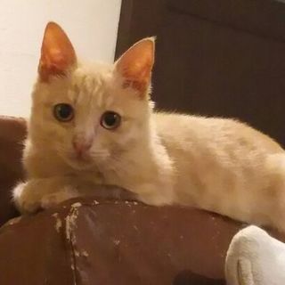 最高のご家族と縁が結べましたm(_ _)m感謝！