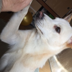 「ハイタッチもできます」サムネイル2