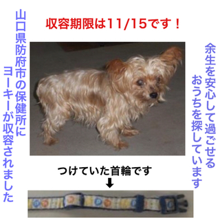 里親様に迎えられました！