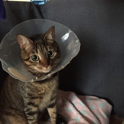 明日解放予定( ^ω^ )