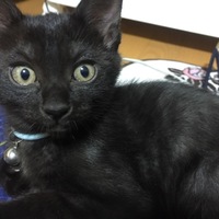 ジャック
