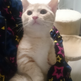 応募多数のため一旦応募中止させていただきます。