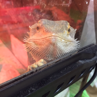 ご応募くださった方々本当にありがとうございました！