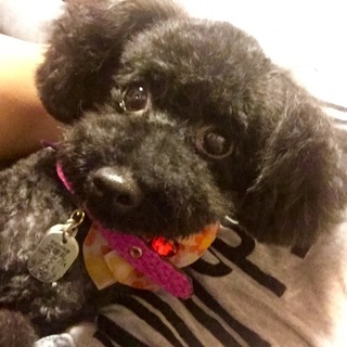 ご応募一旦締め切らせて頂きます