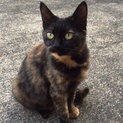 さらちゃん　　抱っこ好きです