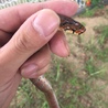 の写真