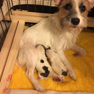 カノン、ほんとによく頑張った！(´༎ຶོρ༎ຶོ`)