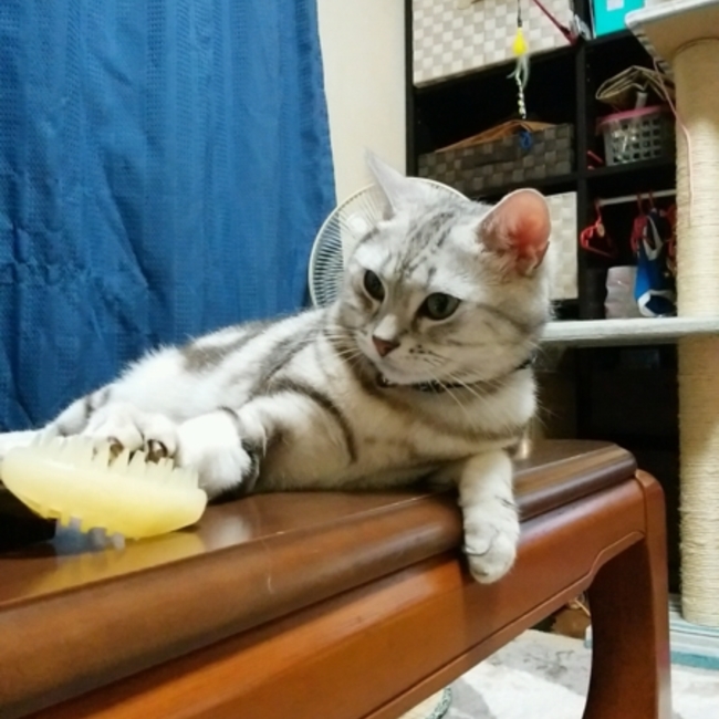 マリオ＆ルイージのカバー写真